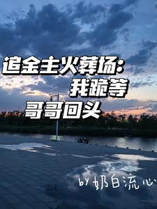 追金主火葬场我跪等哥哥回头