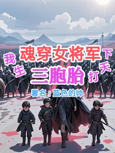 魂穿女将军我生三胞胎打天下